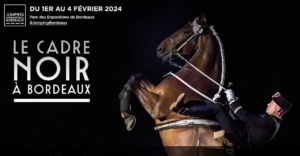Jumper de Bordeaux Equestre
