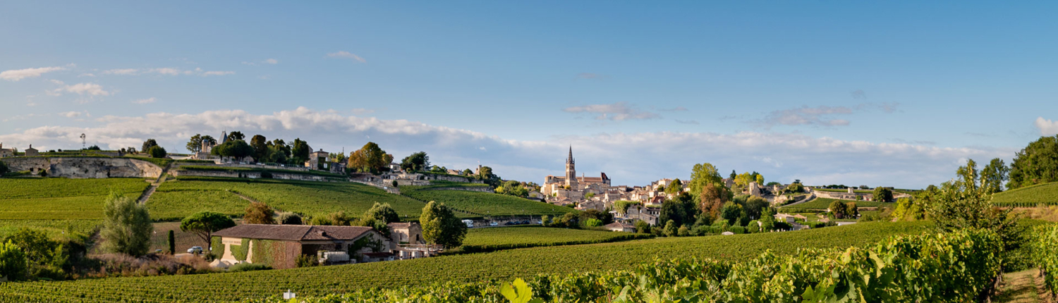 Tourisme à Saint-Emilion en bus de groupe : transport VIP avec Driver Service Agency (DSA).