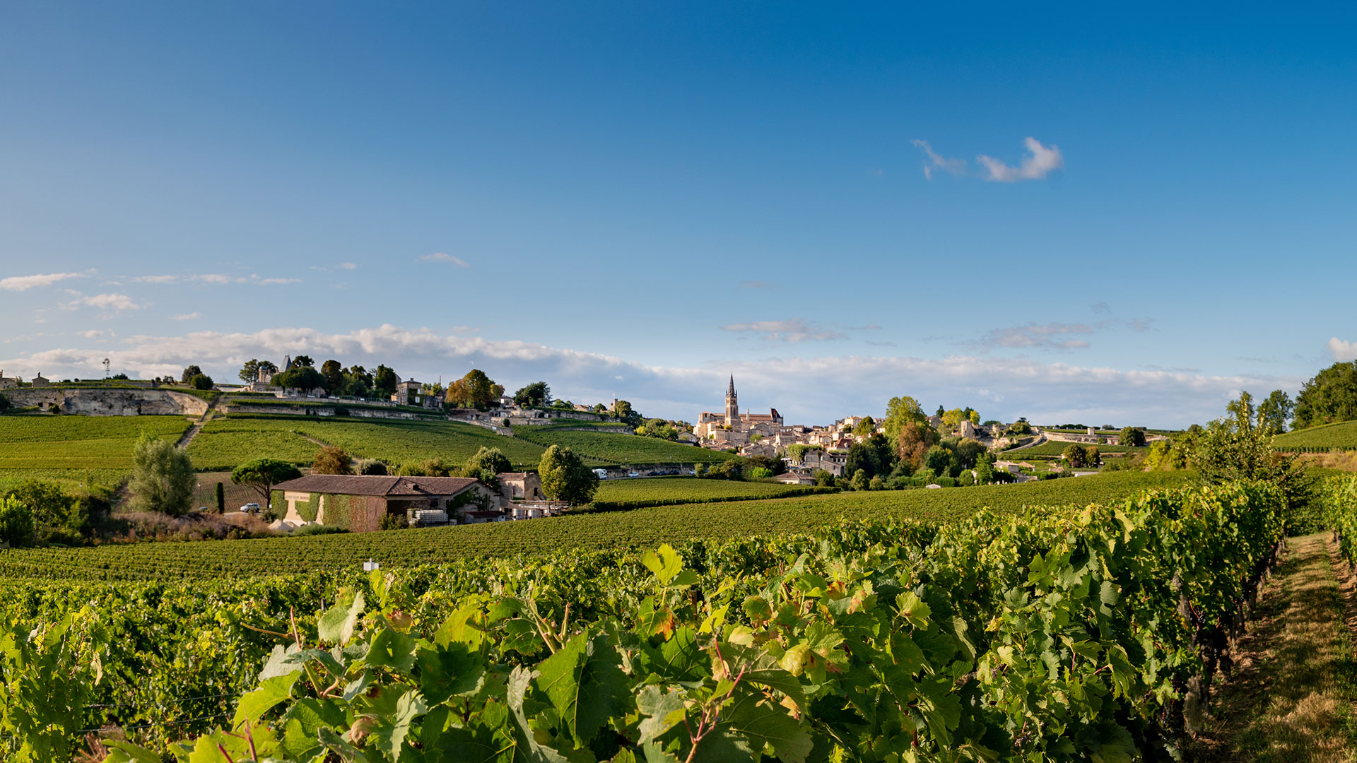 Tourisme à Saint-Emilion en bus de groupe : transport VIP avec Driver Service Agency (DSA).