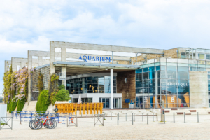 Tourisme La Rochelle : transport en bus haut de gamme avec Driver Service Agency